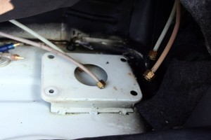 vert_trunk_1