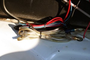 vert_trunk_2
