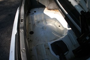 vert_trunk_3