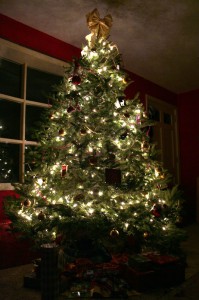 Christmas Tree 2009